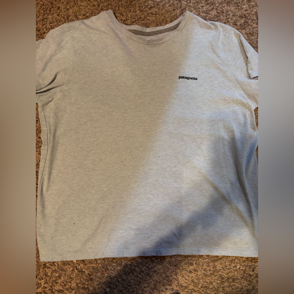 Patagonia Small Logo Tee - Heather Light Blue